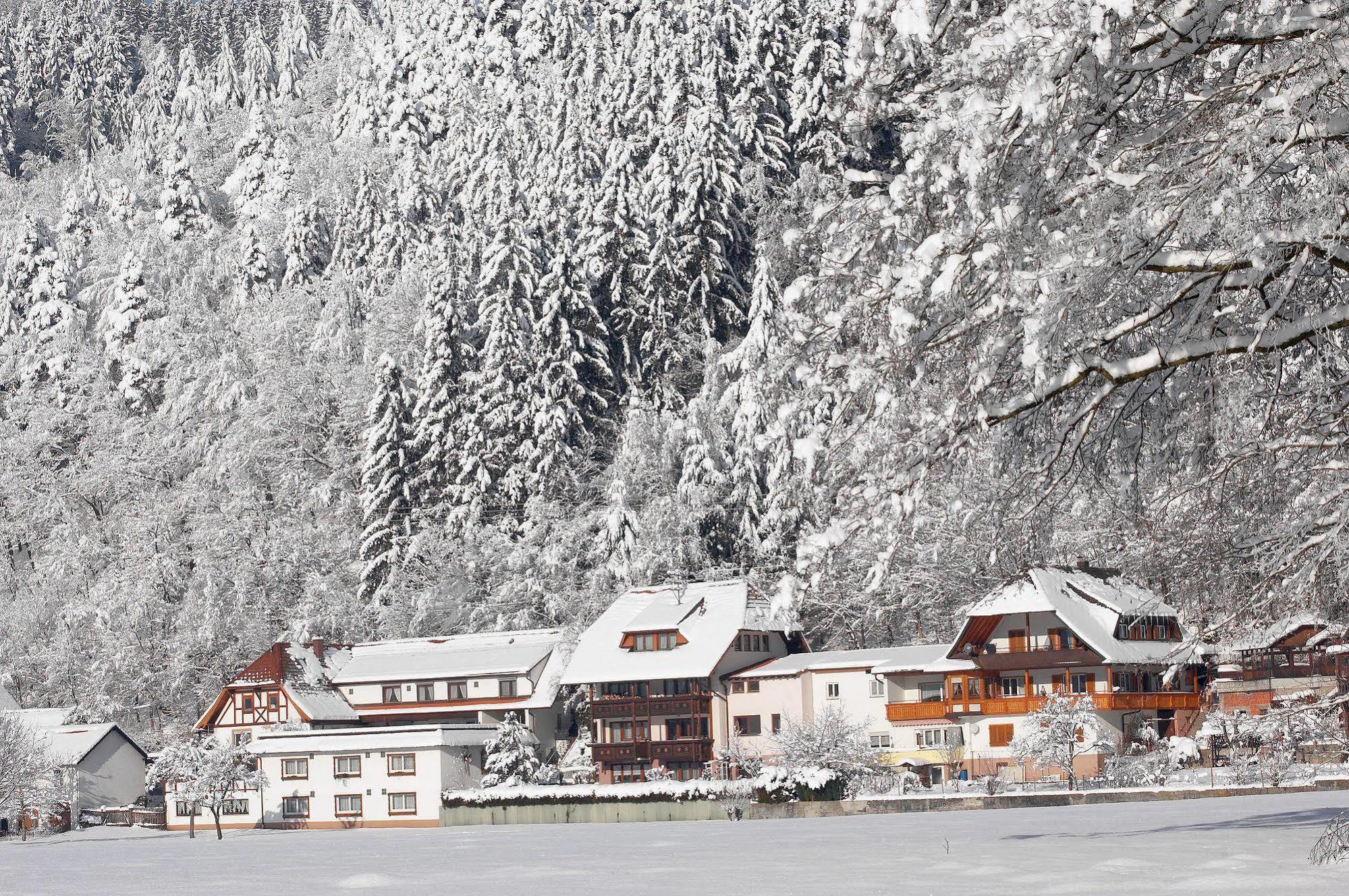 Hotel Wellness Pension am Rain Winden im Elztal Exterior foto